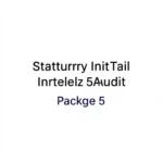Audit Services Statutory Internal Tax Audit Service Package 5