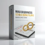 Income Tax Return Filing Business Individual Service Package 3