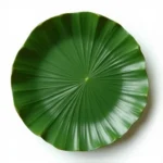 Areca Leaf Plates - Export Quality 3
