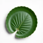 Areca Leaf Plates - Export Quality 4