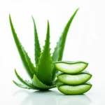 Aloe Vera Extract - Export Quality 3
