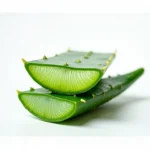 Aloe Vera Extract - Export Quality 4
