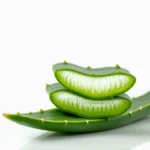 Aloe Vera Extract - Export Quality 5
