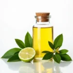 Eucalyptus Oil - Export Quality 5