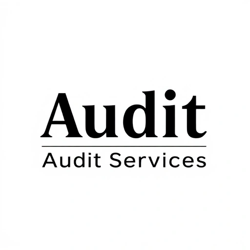 audit_services_statutory_internal_tax_audit_sp_1